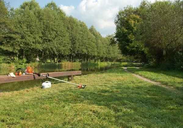 Débroussailleuse FS 70 RC-E - Stihl – Image 2