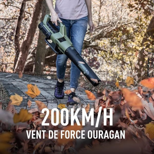 Souffleur sans Fil à Batterie Green Machine 62V 4Ah – Image 6