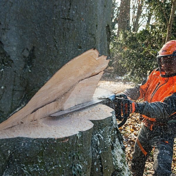 Tronçonneuse MS 661 C-M - Stihl – Image 3