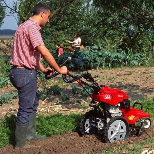 Motoculteur FF 500 - Honda – Image 3